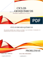 Ciclos Biogeoquímicos