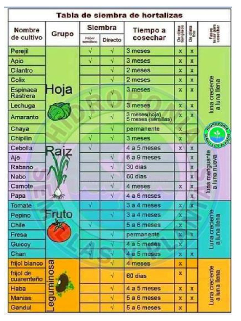 tabla-de-siembra-de-hortalizas-pdf