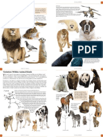 Animal Guide SamplesDOtnoneyu