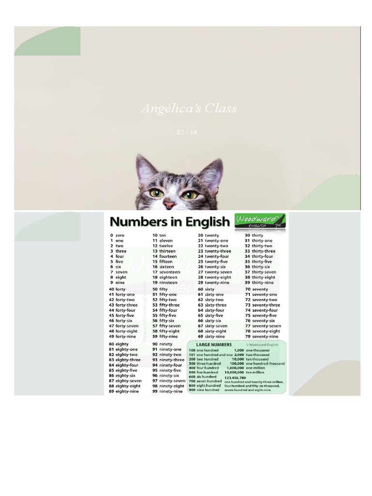 English Class About Numbers | PDF | Cooking, Food & Wine