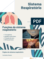 Sistema_Respiratorio