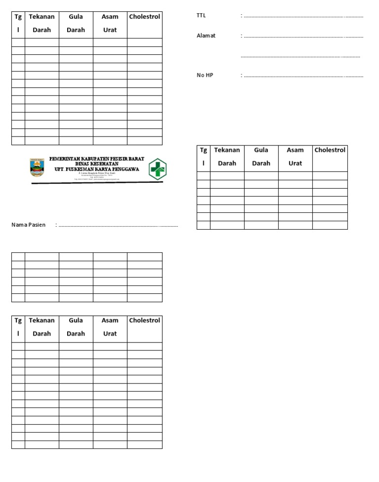 Surat Cek Cholestrol | PDF