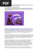 Download kastenet by kcausa_warna SN65794465 doc pdf
