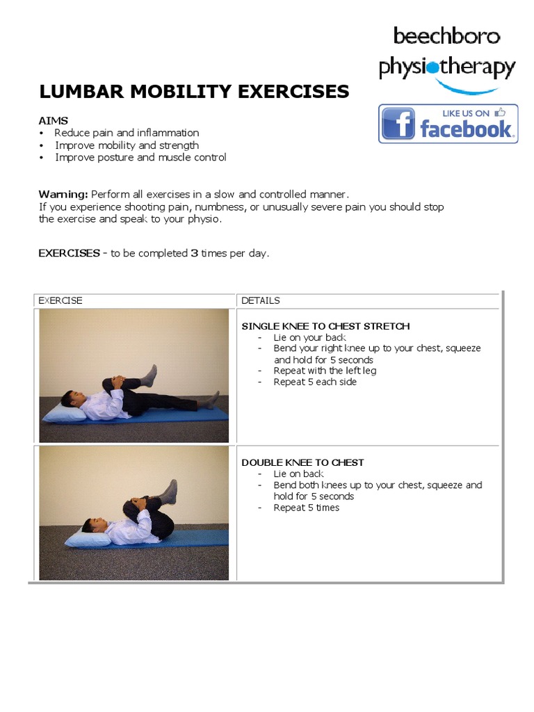 Info Sheets Lower Back Stretches | PDF