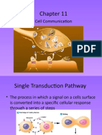 Cell Comunication