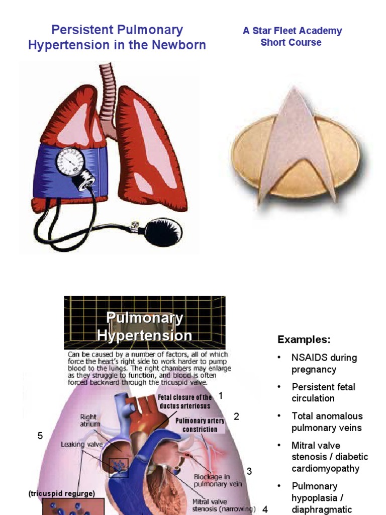 Managment of pulmonary htn neonate pdf fetus hypoxia medical 