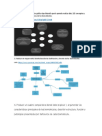 Biomoleculas