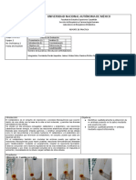 Introducción Al Metabolismo - Eq.2-1