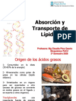 13-Clase Absorcion y Transporte de Lipidos-2s2020
