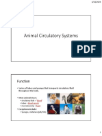 Lesson 3: Animal Circulatory Systems PDF