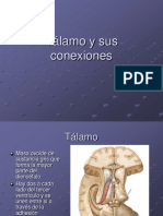 Talamo y Sus Conexiones