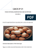 Group5 Eggs