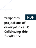 Temporary Projections of Eukaryotic Cells Cellshaving This Faculty Are