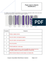 Supuesto Práctico RECTIFICADO Oficial Primera Conductor