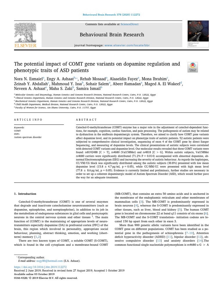 24.the Potential Impact of COMT Gene Variants On Dopamine Regulation ...