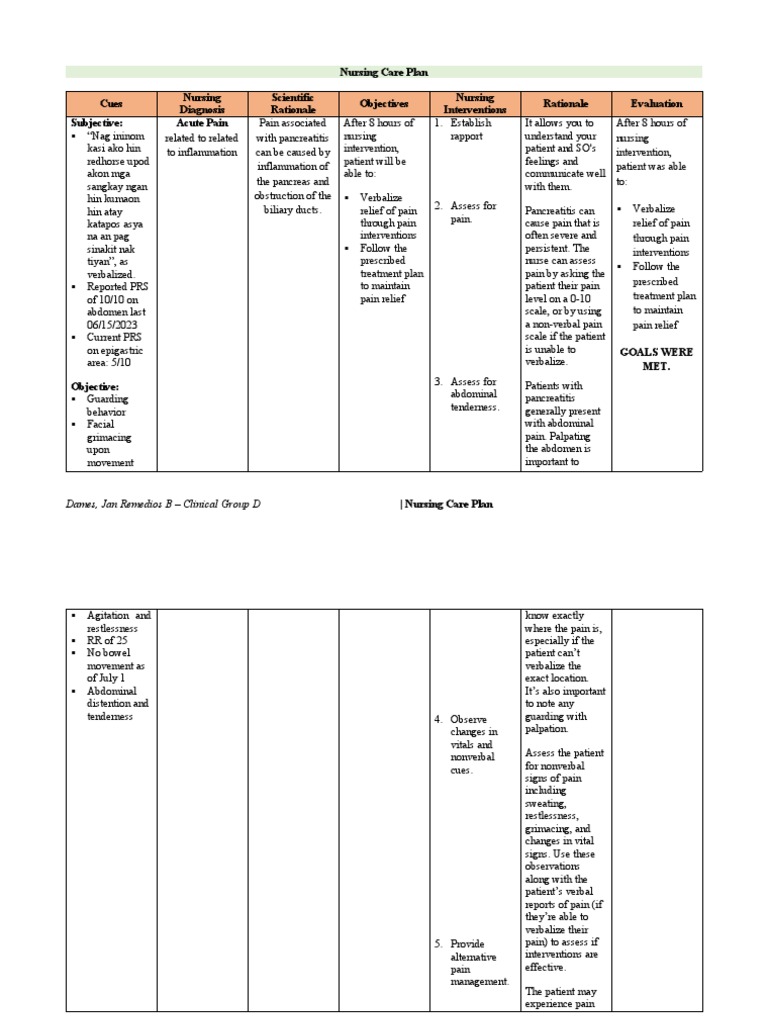 Nursing Care Plan | PDF | Pain | Clinical Medicine