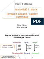 Terminalis Oxidacio 2023 Kiadott