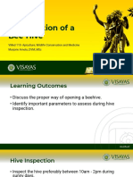 9 Clinical Examination of A Bee Hive