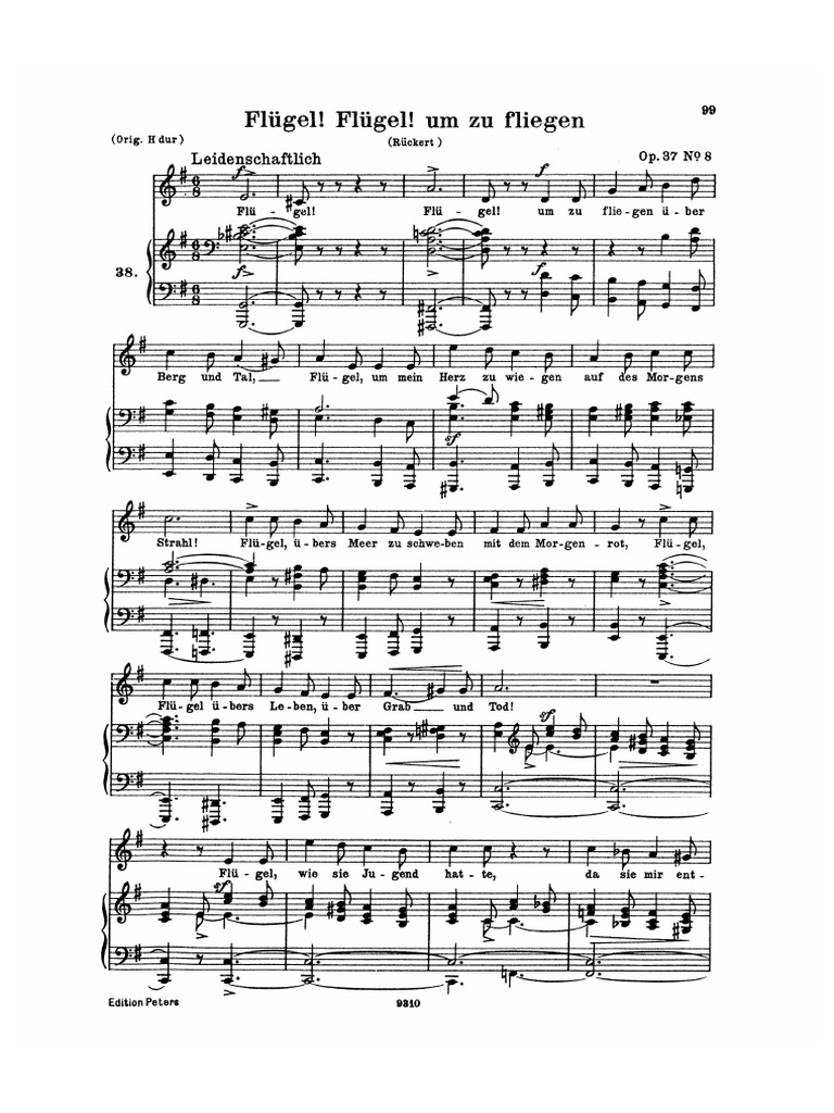 10-marie-fl-gel-um-zu-fliegen-schumann-37-08-pdf