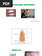 Histologia de Ntaria