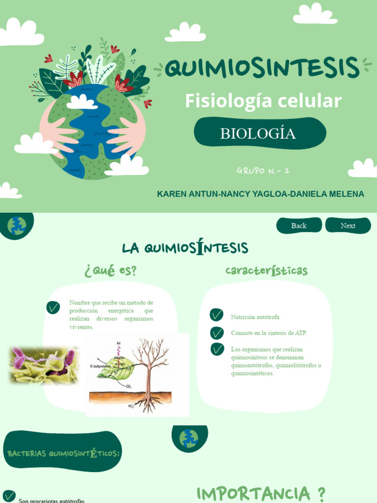 QUIMIOSINTESIS PDF Sustancias químicas Bioquímica