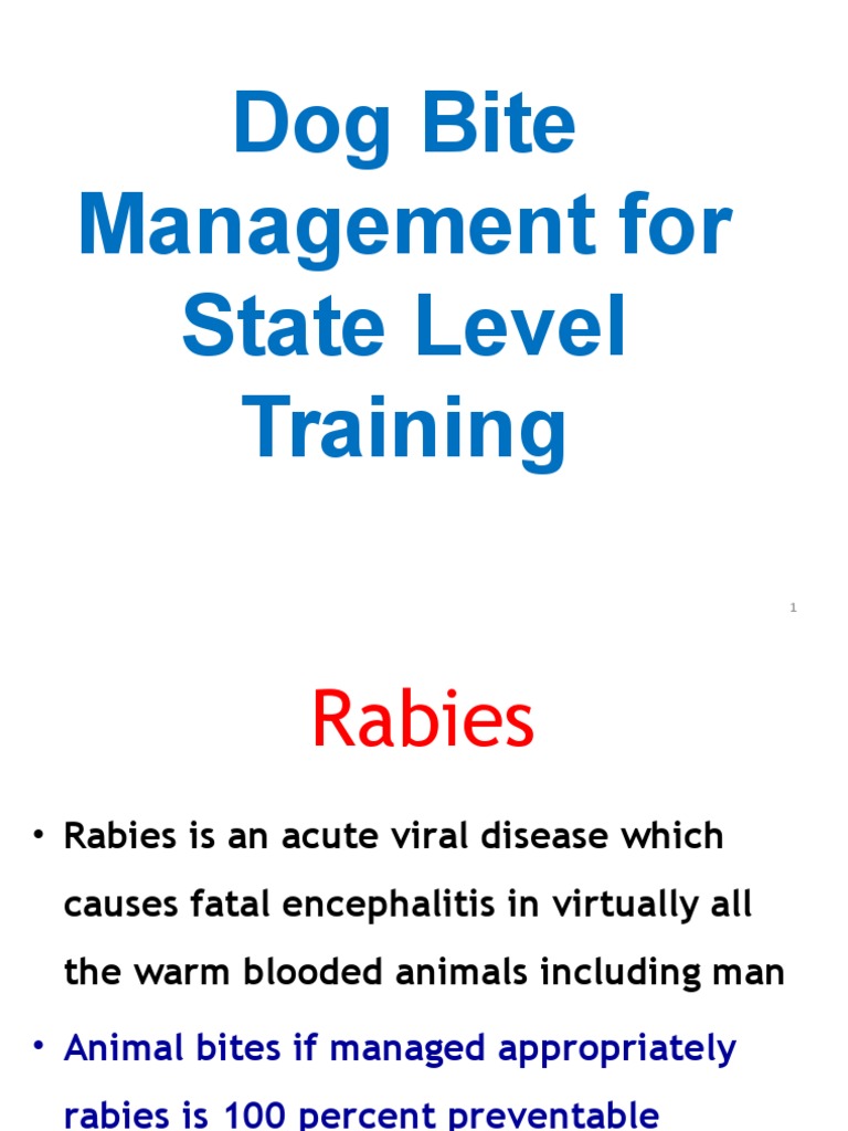 Dog Bite Management PDF Rabies Injection (Medicine)
