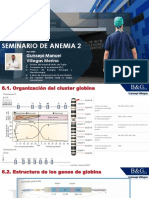 Seminario 2 de Anemia