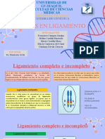 Genes en Ligamiento-Exposicion Genetica