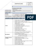 R-10-SIG Descriptor de Cargo Rev SERNAGEOMIN B