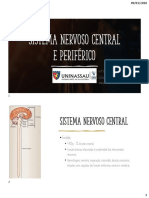 5 - Sistema Nervoso Central e Periférico