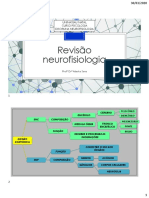 Revisão neurofisiologia