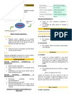 Clase 14-Semiologia Del Dolor