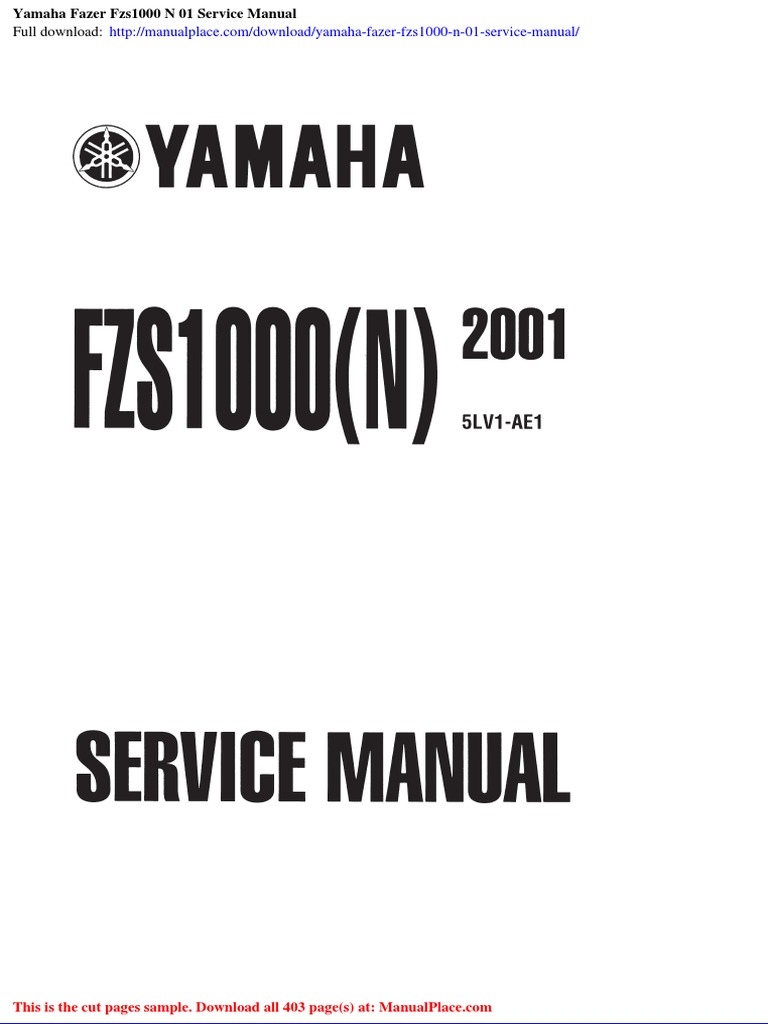 2011 intelligence overview