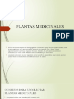 Plantas Medicinales