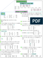 8esquema Determinantes