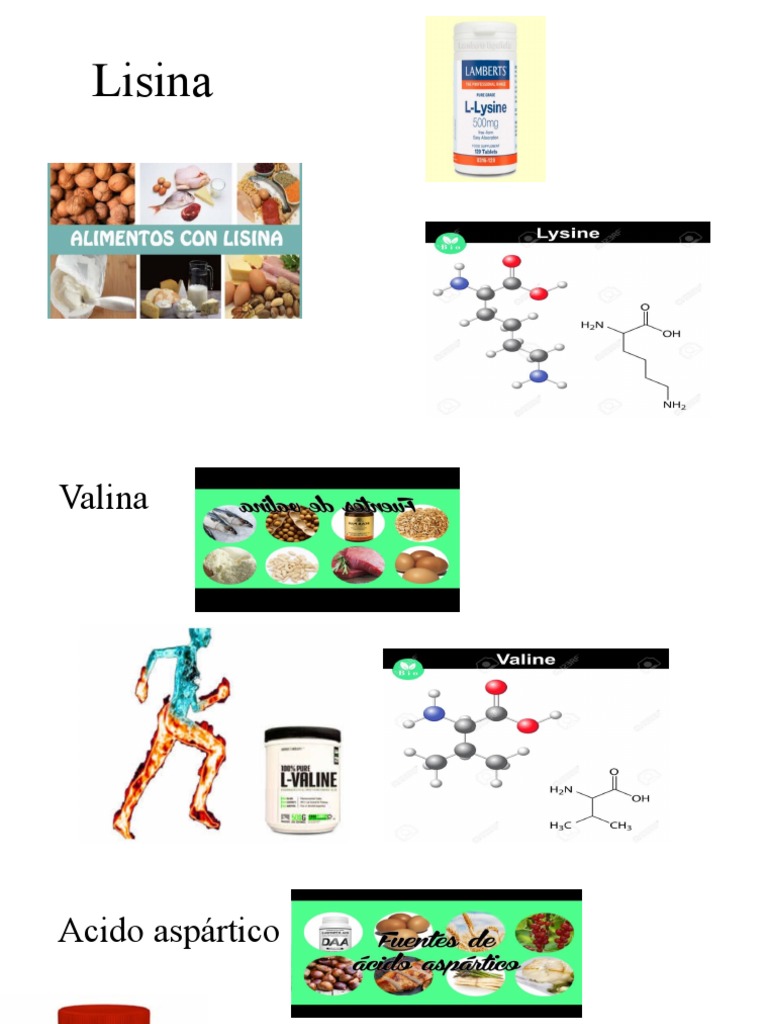 Lisina PDF