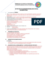 Esquema de Proyecto de RSU Responsabilidad Social Universitaria