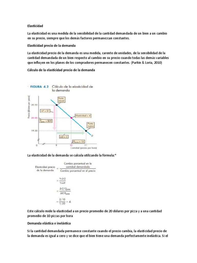 Elasticidad en Economía | PDF | Elasticidad (economía) | Oferta y demanda
