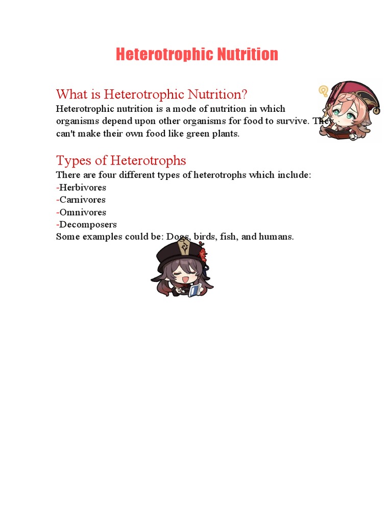 The Ultimate Guide To Eubacteria Nutrition Autotroph Or Heterotroph - g268dcu