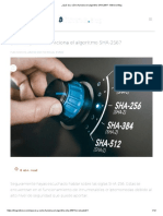 ¿Qué Es y Cómo Funciona El Algoritmo SHA-256 - Bitnovo Blog