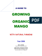 Growing Organic Mango