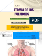 Anatomia de La Caja Toracica y Los Pulmones