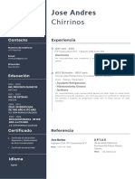 J. Chirrinos - Curriculum Vitae