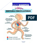 Aparato Digestivo Circulatorio