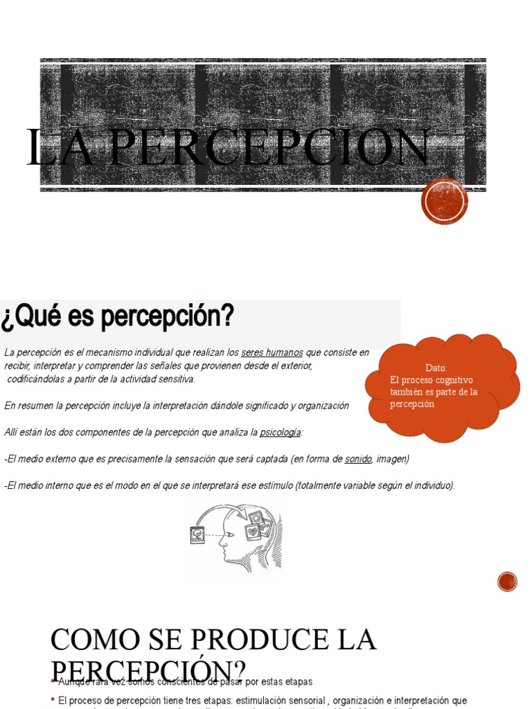 Entendiendo la Percepción Humana | PDF | Percepción | Metafísica de la ...