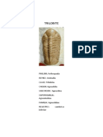 Informe de Geo General