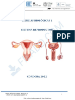 9-Sistema Reproductor
