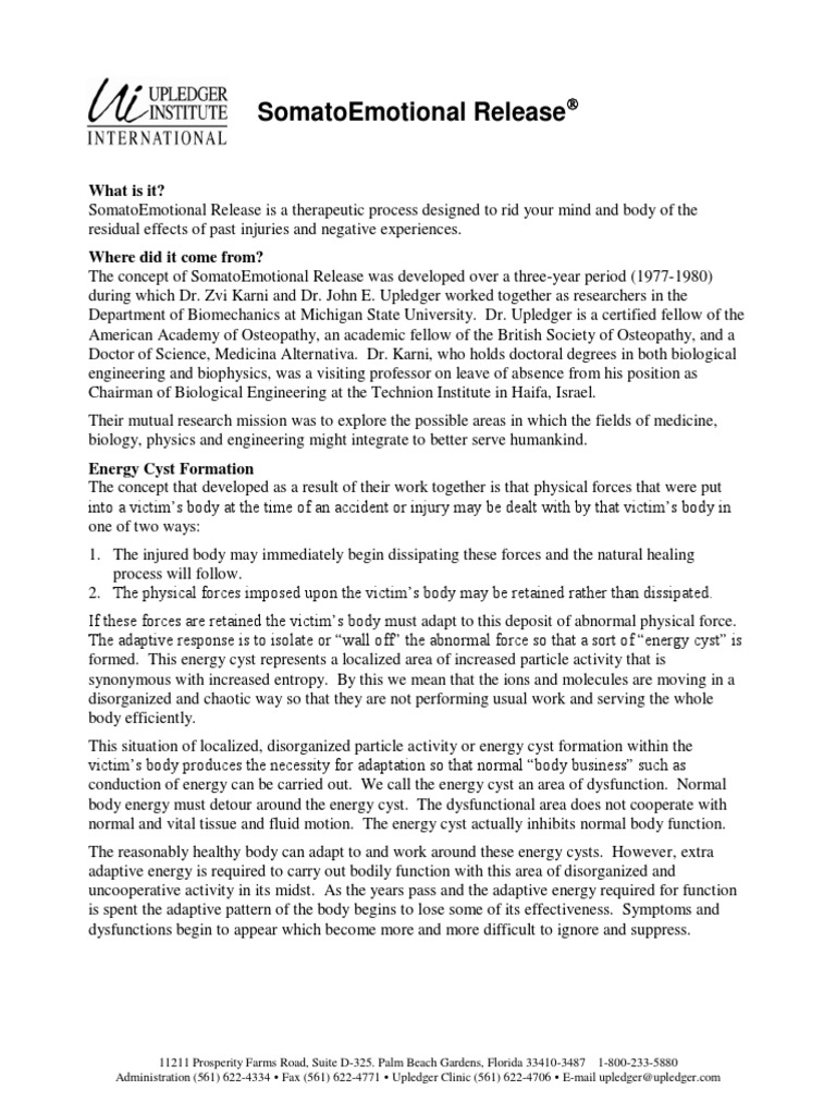 Understanding SomatoEmotional Release PDF