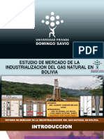 Proyecto Formativo Final (I-G-N-B) PPT-2