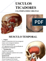 Nervio Trigemino-Musculos Masticadores-Region Temp - 230323 - 064628